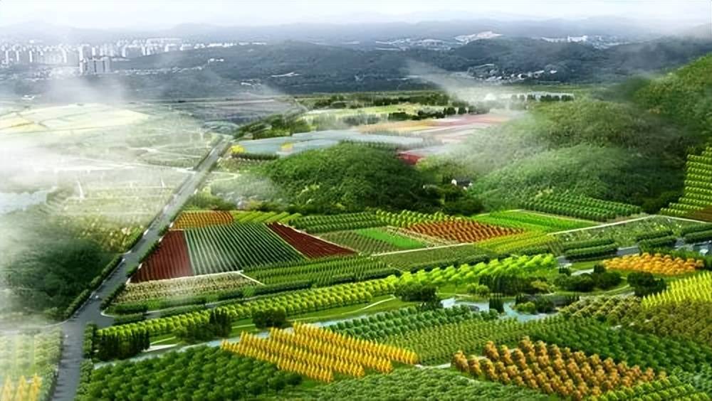 模式、16个整村运营经典案例盘点麻将胡了游戏乡村振兴10种运营