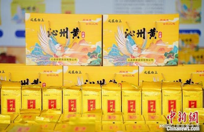 西沁县10万亩谷子喜开“第一镰”麻将胡了模拟器“中国小米之乡”山