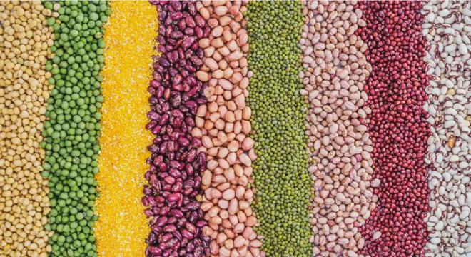 启大健康时代的新消费 粮油新图景⑤麻将胡了试玩从“吃饱”到“吃好”开