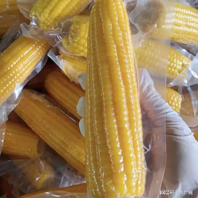 粮种植优势向产业优势转变的新路径麻将胡了2山西省忻州市：探索杂