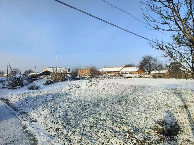 “吉日”切记：1不出3要吃5不做PG电子麻将胡了试玩今年小寒当天(图2)