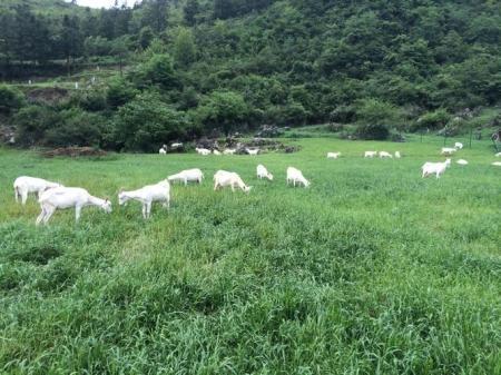 0：健康新选择尽在有机生活中麻将胡了2模拟器试玩淳珍10(图1)