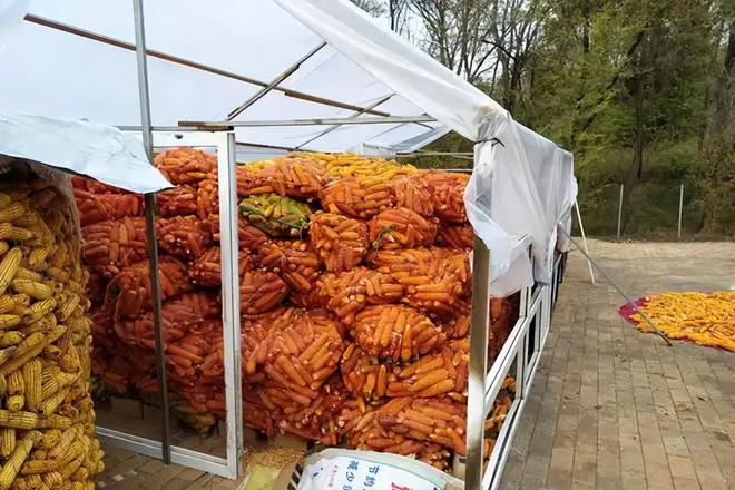 年在河北去世农民家发现“鸡跳脚”麻将胡了网址曾差点消失！2023(图5)