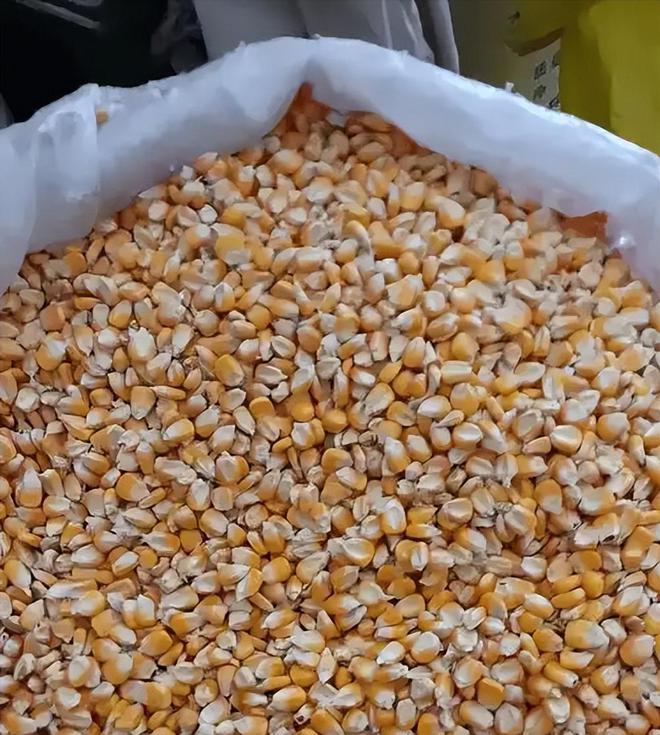 年在河北去世农民家发现“鸡跳脚”麻将胡了网址曾差点消失！2023(图10)